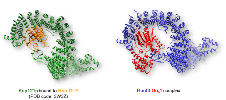 fig_huntingtin_1